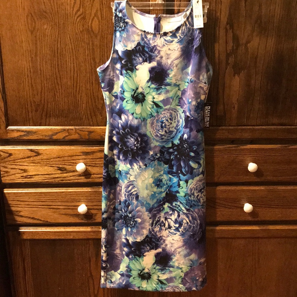 Sleeveless Floral Purple Flower Dress Sz Small NWT